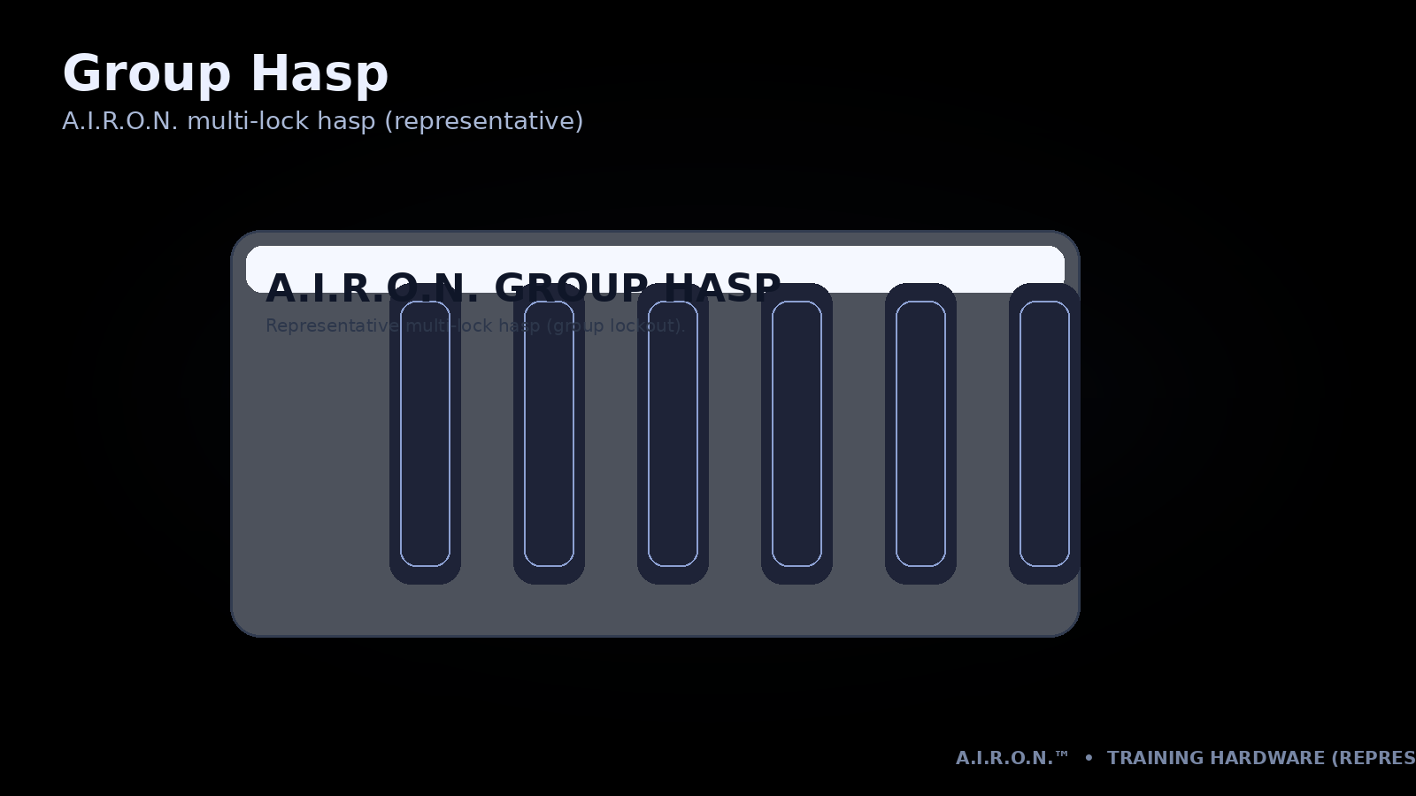 Representative group hasp